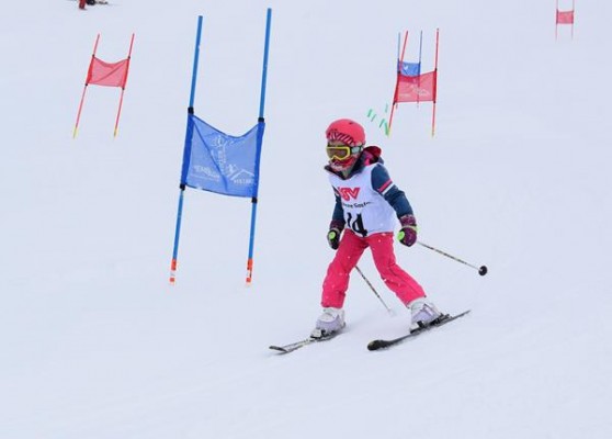 Normal x DSC 0842 (2)